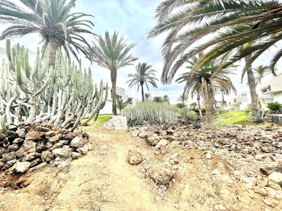 Apartamento Con Piscina Sur De Tenerife Costa Del Silencio Luaran gambar